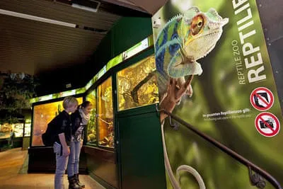 Haus der Natur Salzburg Bild 8
